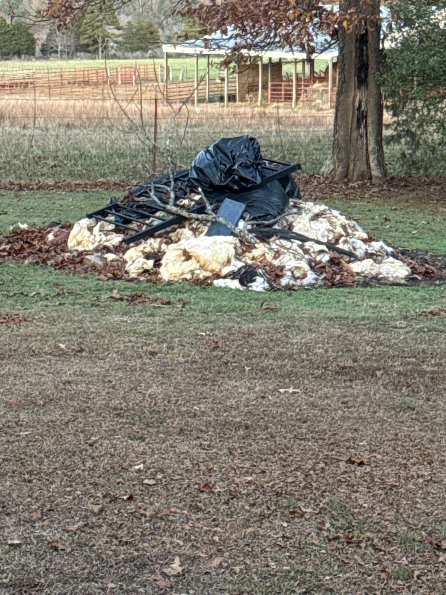 Additional junk removal project photo